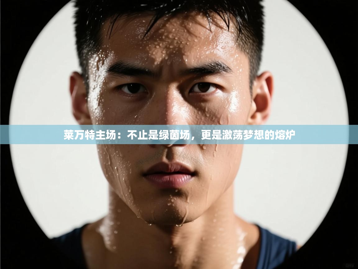 莱万特主场:不止是绿茵场,更是激荡梦想的熔炉 第1张