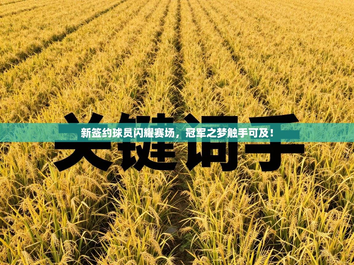 新签约球员闪耀赛场，冠军之梦触手可及！  第1张