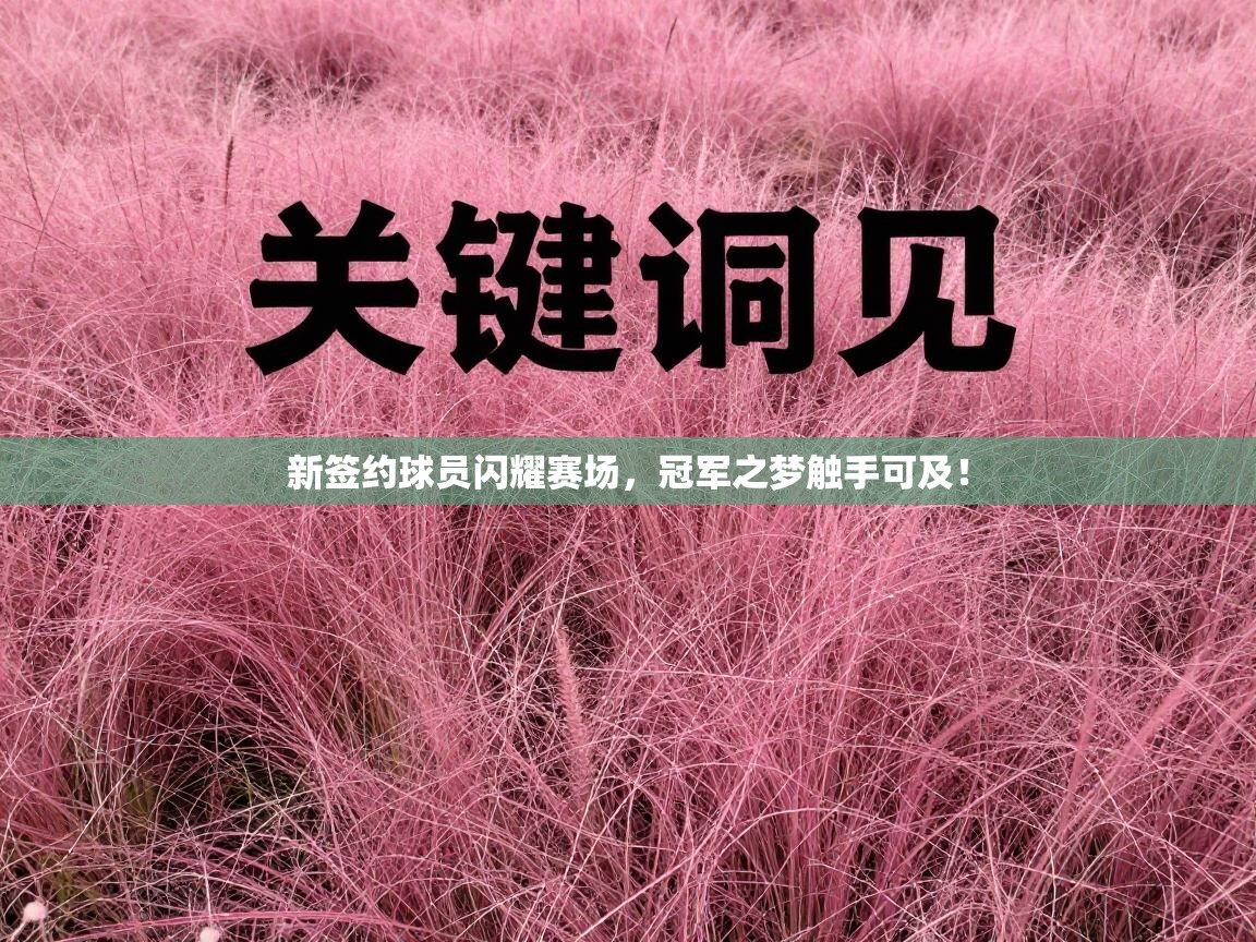 新签约球员闪耀赛场，冠军之梦触手可及！  第2张