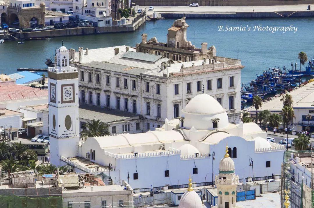 爱游戏官方-阿尔及利亚明星爆发力十足,一战成名!的简单介绍