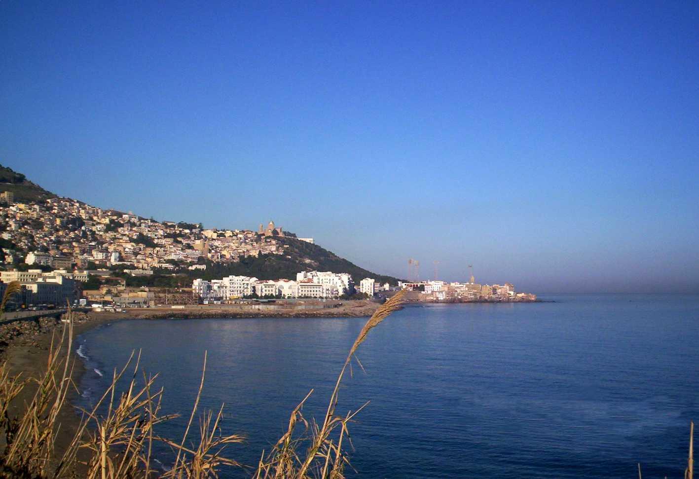 爱游戏官方-阿尔及利亚明星爆发力十足,一战成名!的简单介绍